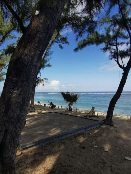 Beau T3 Litchi Vue Ocean Piscine Daire Saint-Gilles-les Bains Dış mekan fotoğraf